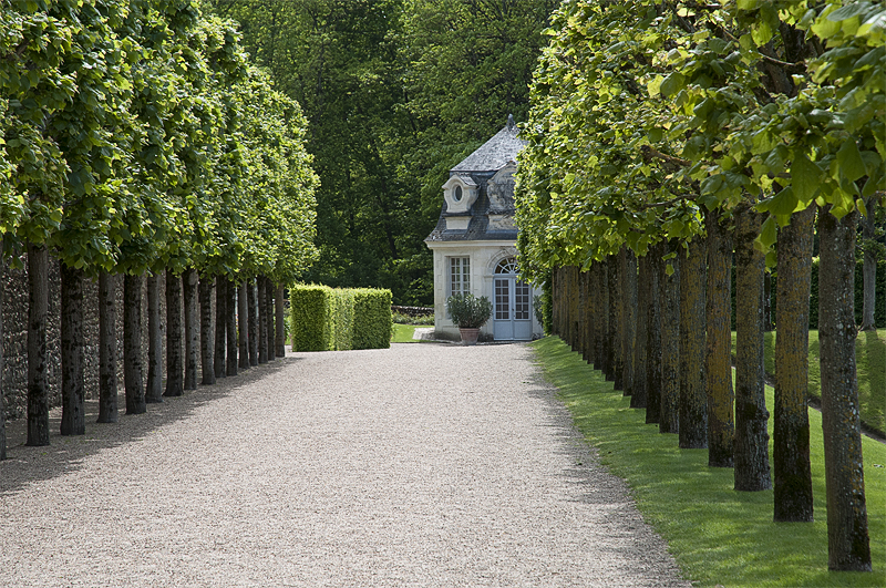 Tour Loire 05 - 201520150509_D35_8127 als Smartobjekt-1 Kopie.jpg - Ein wunderschöner Park mit solch tollen Baumalleen 